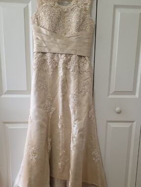 Beaded Lace Champagne Evening Gown. Shoul. 15", Waist 31",length Front 52"-68"
